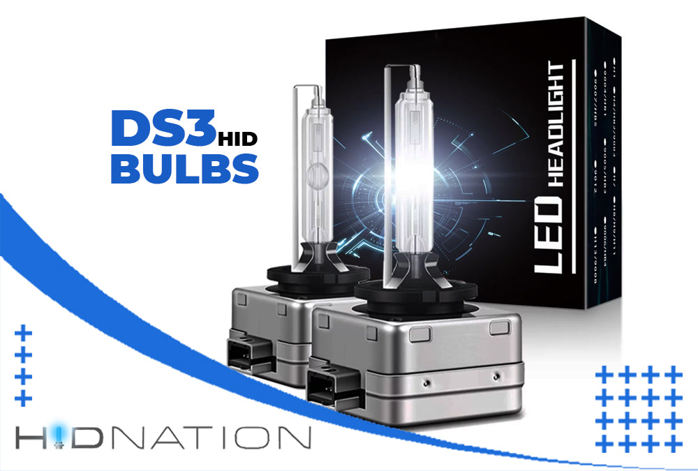 D3S HID Bulbs An Allinclusive Guide to Choose the Best HID Nation